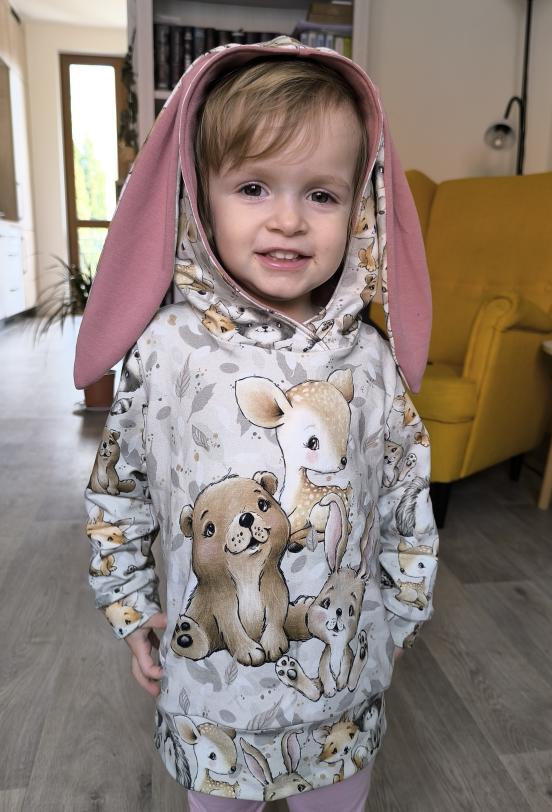 Aspen kids hoodie with Ears