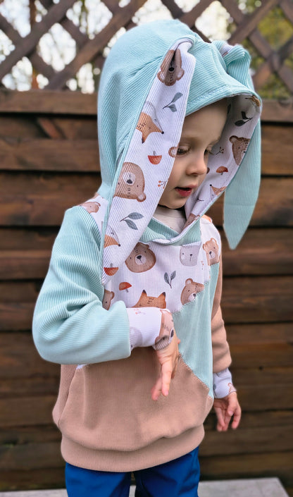 Aspen kids hoodie with Ears 