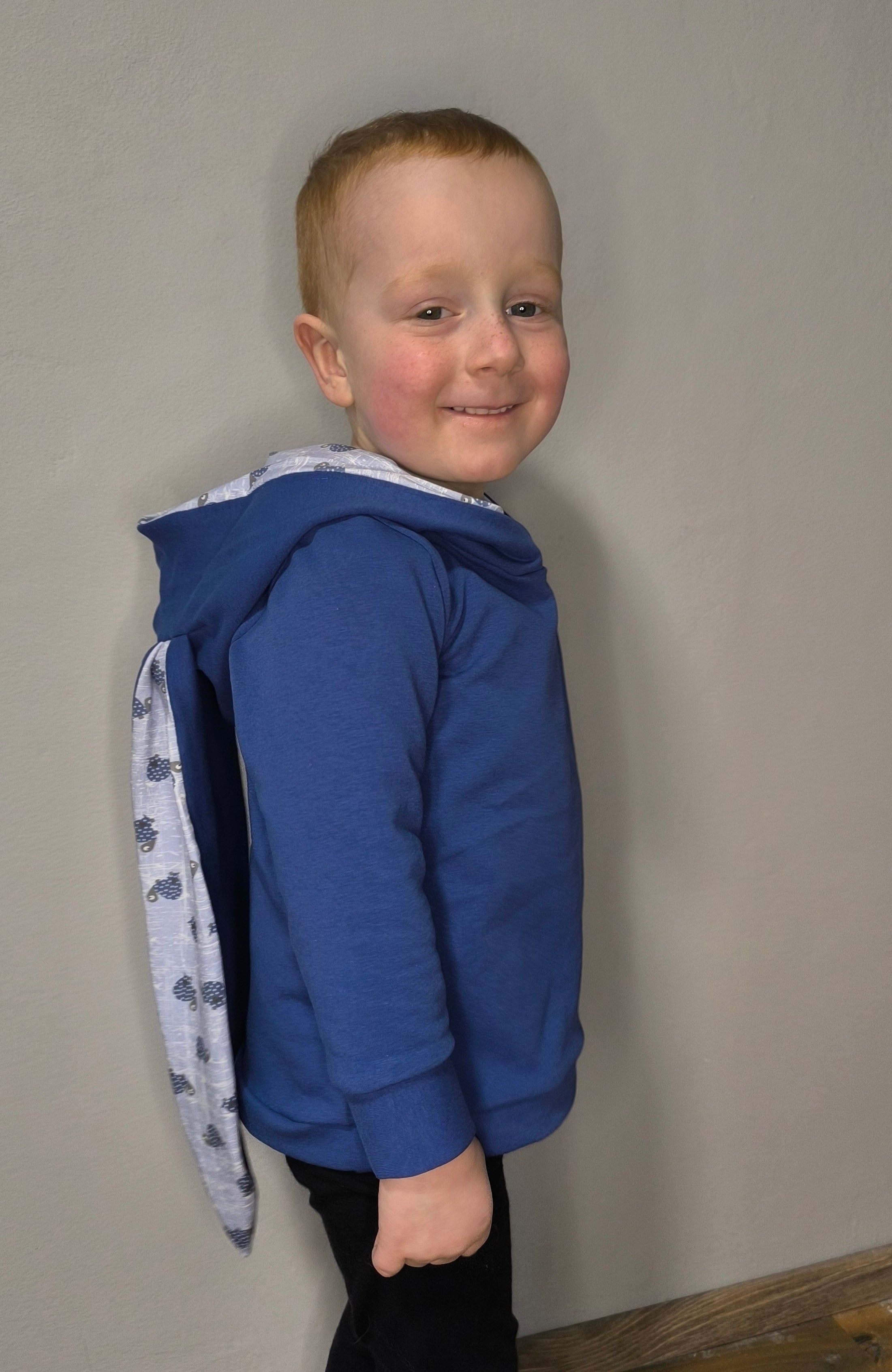 Aspen kids hoodie with Ears 