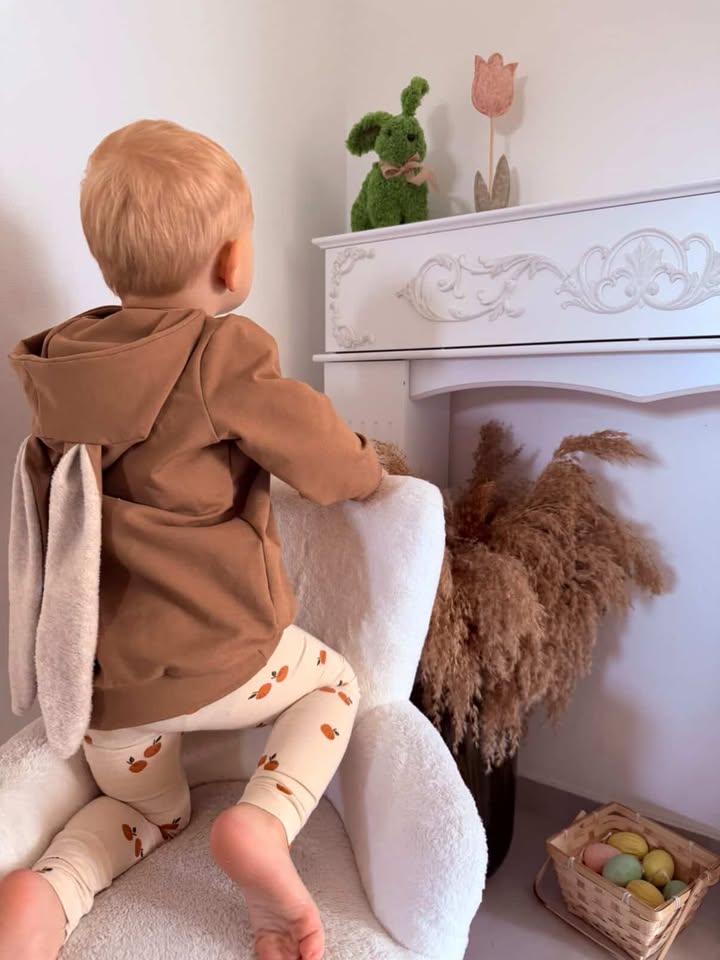 Aspen kids hoodie with Ears 