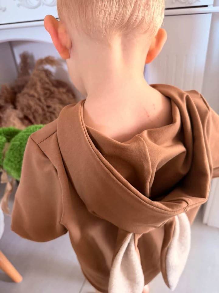 Aspen kids hoodie with Ears 