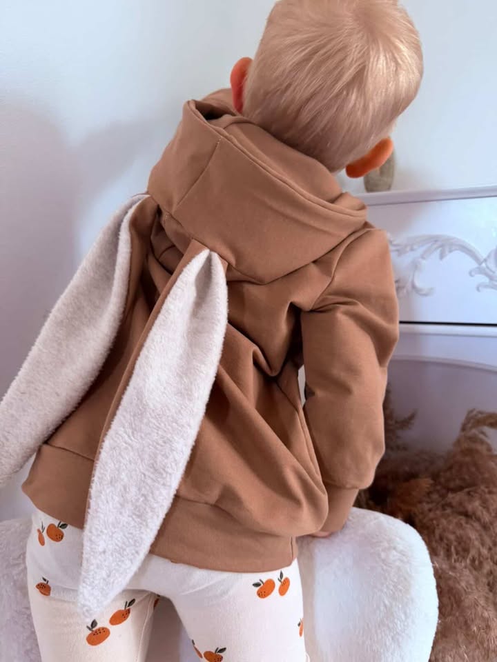 Aspen kids hoodie with Ears 