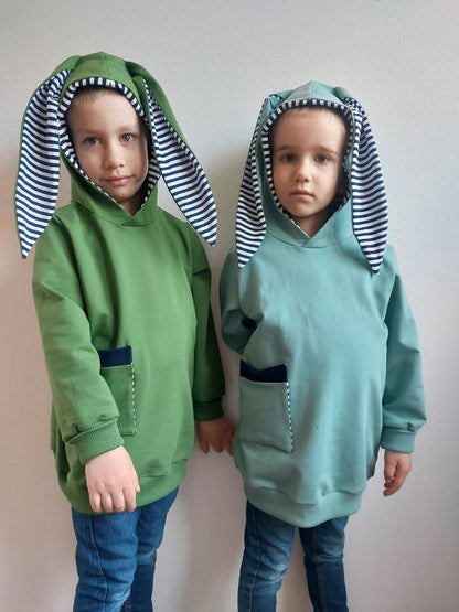 Aspen kids hoodie with Ears 