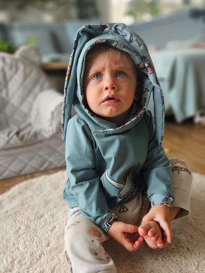 Aspen kids hoodie with Ears 