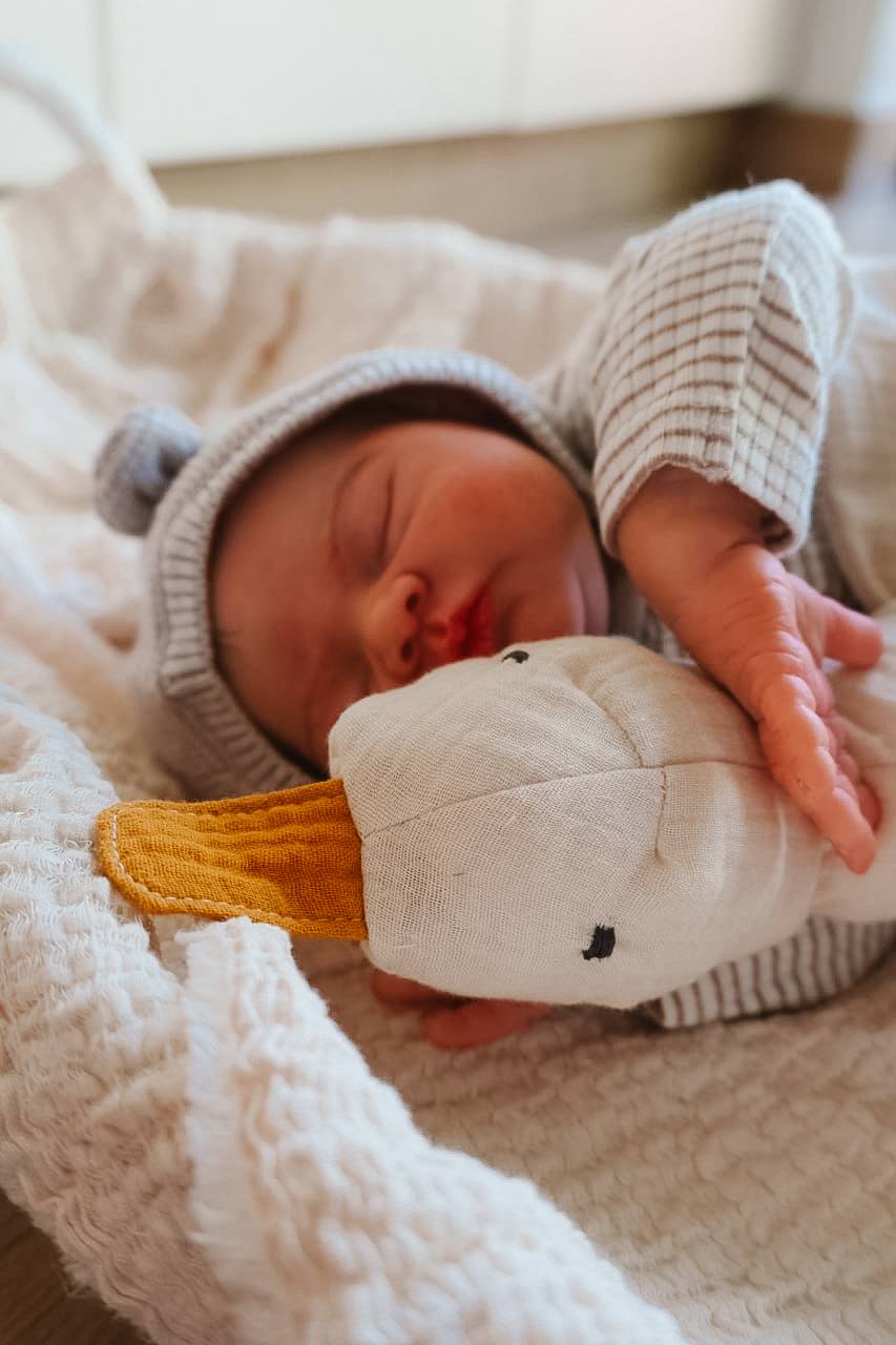 PDF střih - Střih na husu Jana / střih na látkovou hračku pro miminko